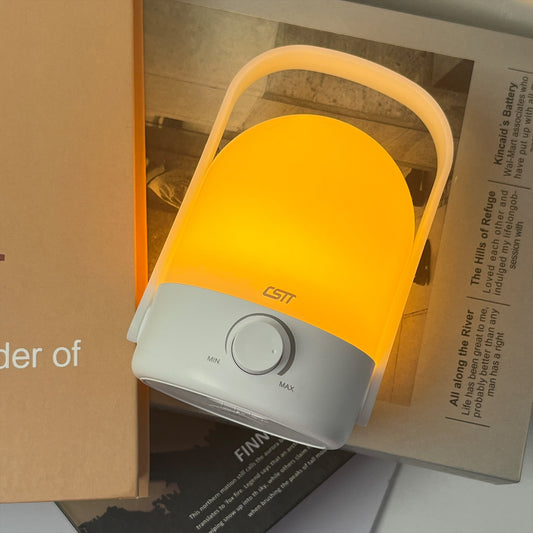 LISAAVO 2-Color Rechargeable Lamp LED Camping Lantern with Portable Handle Tent light Stepless Dimmable Small Lamp for Bedroom